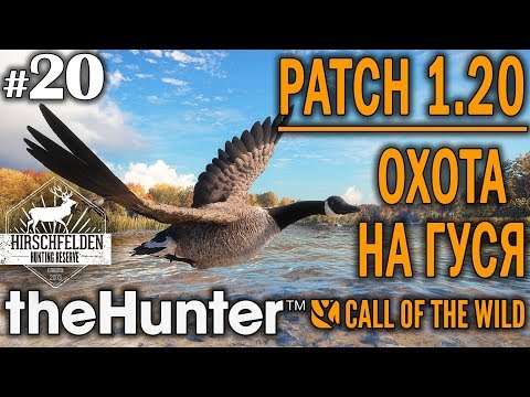 Видео: theHunter call of the wild #20 🔫 - Патч 1.20 Охота на Гуся - Ружье + Дробь - Канадская Казарка