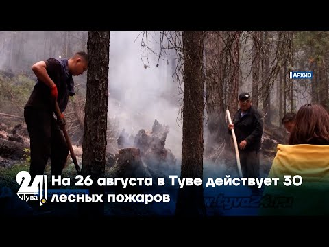 Видео: На 26 августа в Туве действует 30 лесных пожаров