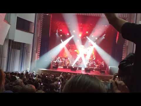 Видео: ТОДД 14.10 Лесник