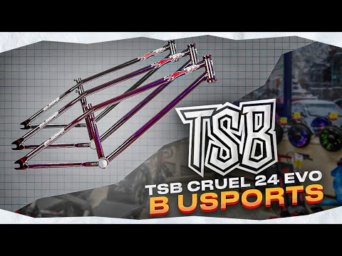 Видео: Обзор Рамы TSB Cruel 24 EVO в USPORTS