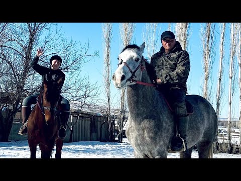 Видео: 02.02.2025 ж Қазығұрт ауданы Алтынтөбе ауылы Зияқұлов Шымыр мырзының елден бата алу көкпар тойы🇰🇿