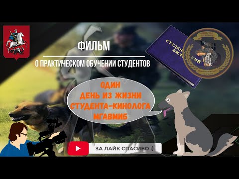 Видео: 🐺 Познавательный фильм о практических занятиях студентов-кинологов в ФГБОУ ВО МГАВМиБ - МВА Скрябина