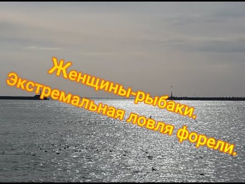 Видео: Туапсе 03.02.2022 акватория порта, набережная: женщины-рыбаки, экстремальная ловля форели.