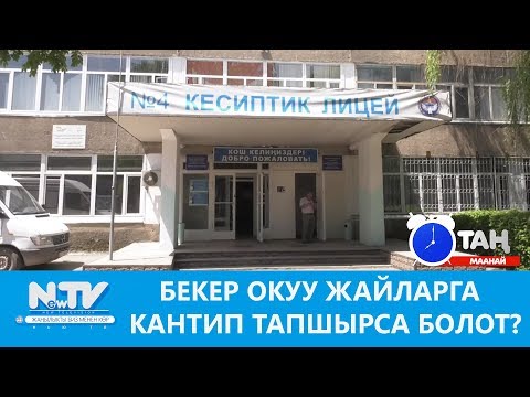 Видео: Бекер окуу жайларга кантип тапшырса болот? Таң маанай