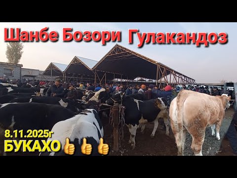 Видео: Шанбе Бозори Гулакандоз нарху навои букачахои майда ва калон дар молбозор имруз