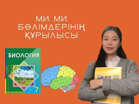 Видео: 7 сынып. 3 тоқсан. Ми. Ми бөлімдері құрылысы мен қызметтерін салыстыру.