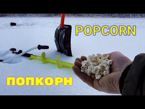 Видео: Реакция рыбы на Попкорн (PopCorn)! Подводная съемка