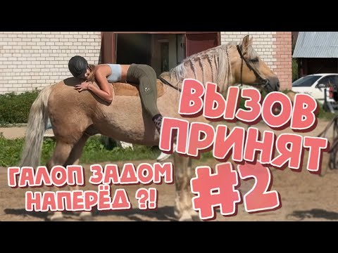 Видео: №2 ВЫЗОВ ПРИНЯТ / Галоп задом наперёд!? / DANULY