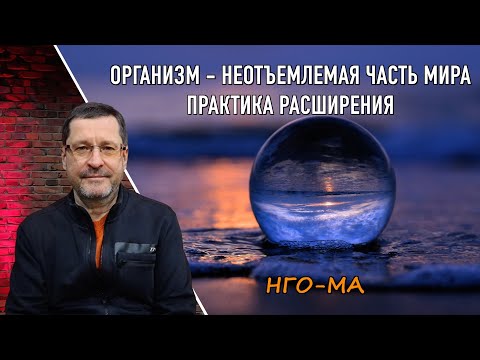 Видео: Организм — неотъемлемая часть мира. Практика разотождествления.