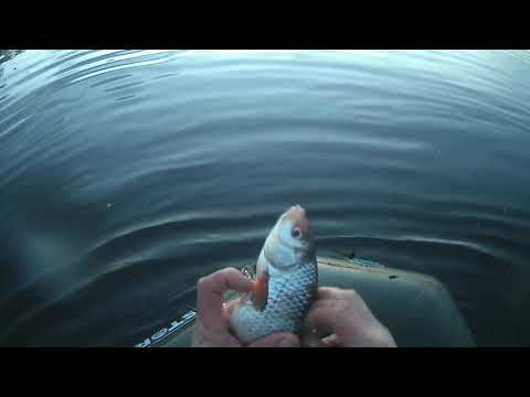 Видео: новая высокая сеть 70-ка первые трофеи