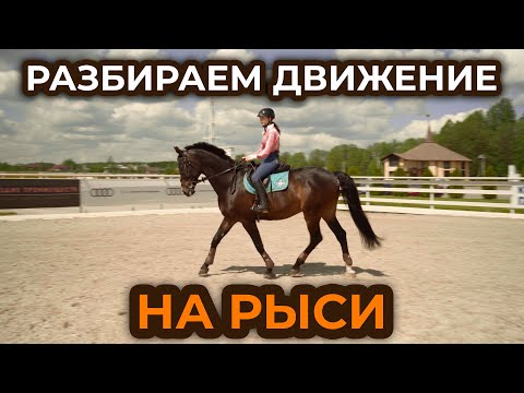 Видео: Работа на рыси / Посадка на рыси / Строевая и учебная рысь  / Виды рыси / Нога облегчения на рыси