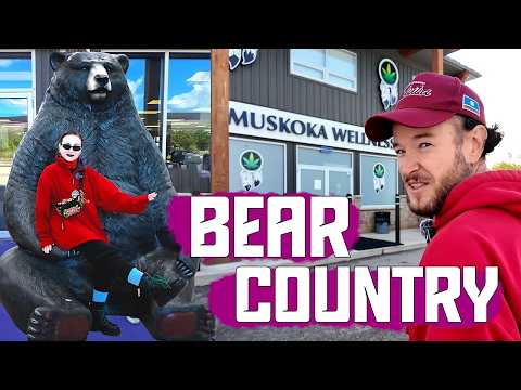 Видео: Уютный КЕМПИНГ в Стране Медведей. Бурундучья Дубрава на ГУРОНЕ!