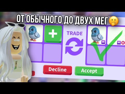 Видео: РАЗВИТИЕ ОТ ОБЫЧНОГО СИЗОГО ГОЛУБЯ ДО МЕГИ 🔥