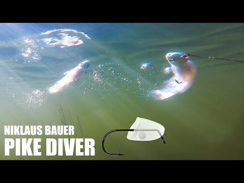 Видео: Pike Diver от Никлауса Бауэра