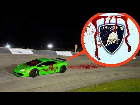 Видео: Если вы когда-нибудь увидите этот Lamborghini с открытыми дверями, не приближайтесь к нему! Бегит...