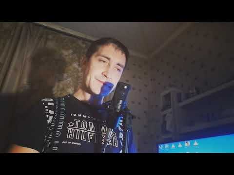 Видео: два белых лебедя  Куликов