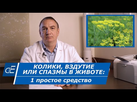 Видео: КОЛИКИ, вздутие и СПАЗМЫ в ЖИВОТЕ - 1 простое средство. Семена укропа: просто и полезно.