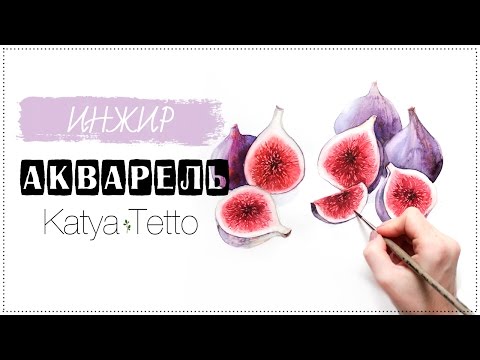 Видео: Акварель | Инжир ( Watercolor | figs)