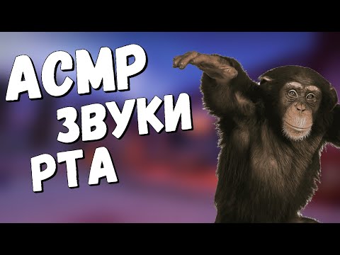 Видео: АСМР ЗВУКИ РТА КС 2