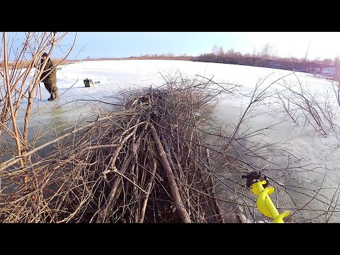 Видео: Вот куда опять полез...... Ох уж эти рыбаки!!!