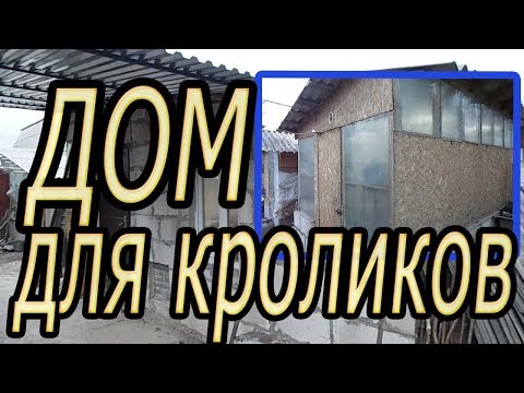 Видео: КРОЛЬЧАТНИК. МОИ ОШИБКИ И РЕШЕНИЯ