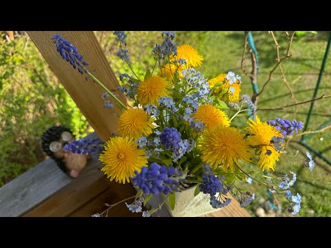 Видео: 25.05.24 Влог: неделя отпуска на грядках! Капуста высажена, парник установили!