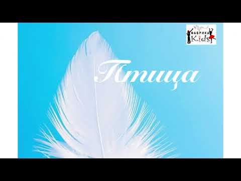 Видео: Фабрика KIDS "ПТИЦА" (ПРЕМЬЕРА ПЕСНИ)