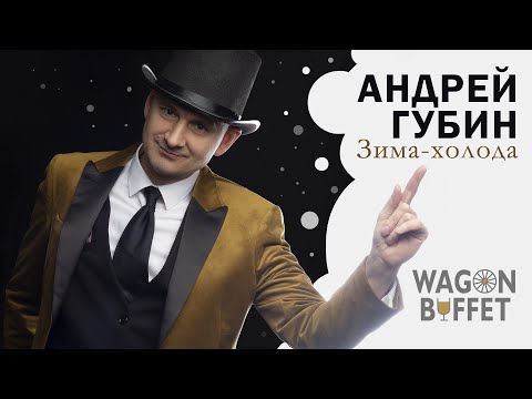 Видео: Андрей Губин — Зима-холода (кавер от WAGON BUFFET)