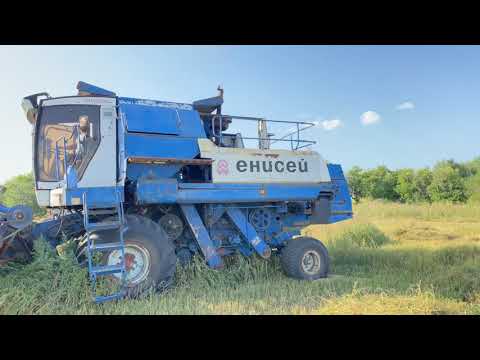 Видео: Урожай 2021г. Убираю комбайном «Енисей-950»