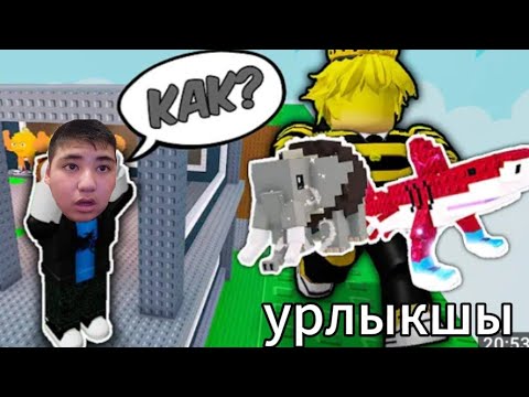 Видео: Мені тонап кетті. Уркадите брентрод қазақша. Роблокс қазақша 