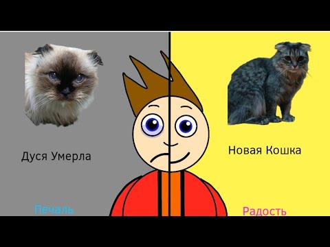 Видео: Дуся Умерла и Новая Кошка (Печаль против Радости)