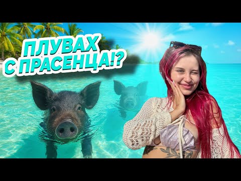 Видео: ПЛУВАХ С ПРАСЕНЦА НА ОСТРОВ ЛЕФКАДА!!! 😱🥹
