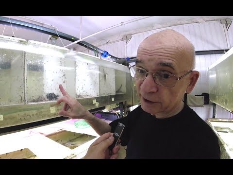 Видео: В гостях у легенды. Горюшкин С.И. (СКАТ)