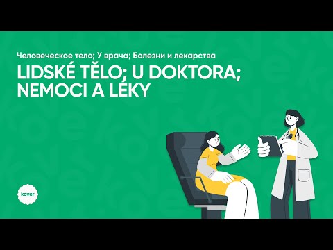 Видео: Занятие по грамматике, тема: «Lidské tělo; U doktora; Nemoci a léky»