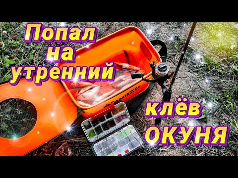 Видео: Рыбалка на спиннинг! Попал на утренний клёв ОКУНЯ. Отводной поводок...