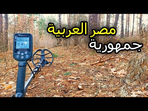 Видео: Арабский след в полтавском лесу. Коп с MD Nokta Makro Simplex Plus