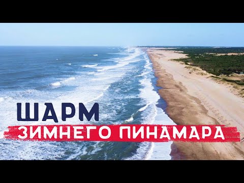 Видео: Необычная зима в Пинамаре: Откройте величие пляжей Аргентины