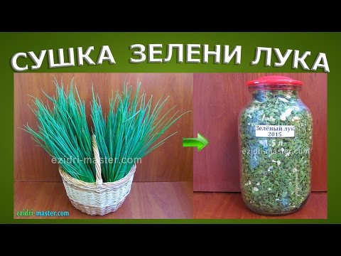 Видео: Сушка зелени лука в Ezidri
