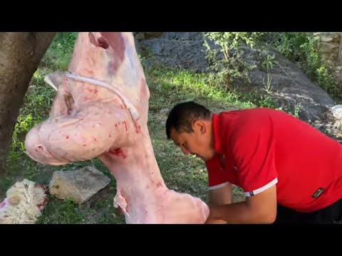 Видео: Узбекистан. Namangan. Как киргизы принимают гостей. Встреча с Аксакалами. Режем барана