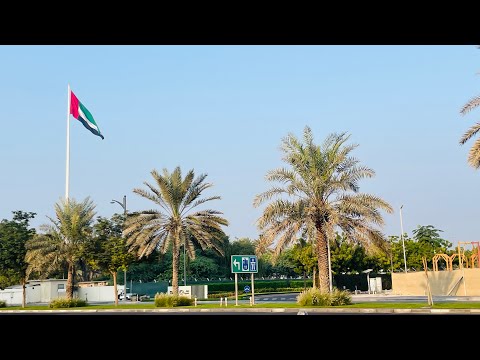Видео: DUBAI VLOG 🇦🇪 Летим из Новосибирска в Дубай