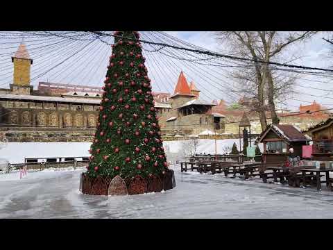 Видео: В ожидании Нового Года. Поселок Глубоки. Хутор Старая Станица. Парк Лога.