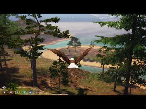 Видео: Дэнчик Играет в Игру Wilds за Орла.