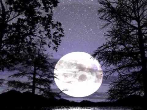 Видео: Стоян Иванов & Даная - Пълнолуние