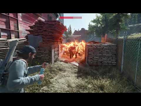 Видео: DAYS GONE Орда у старой лесопилки - Давай сделаем это по-быстрому
