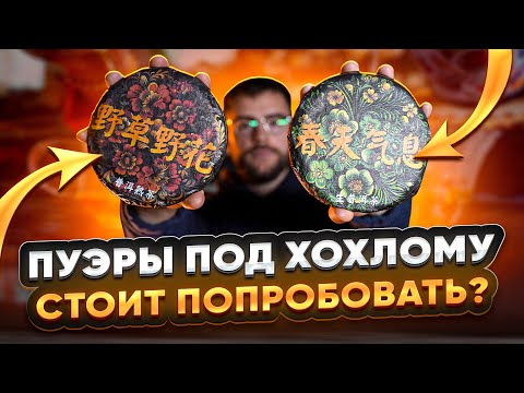 Видео: Попробуй эти пуэры, если любишь китайский чай | Чайная мастерская