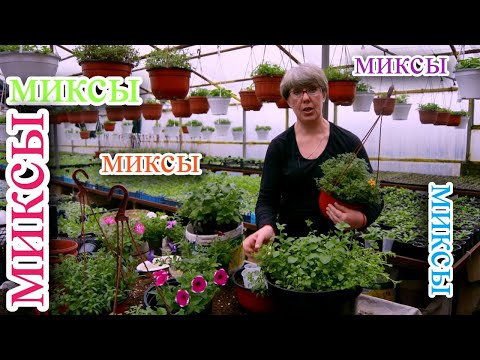 Видео: Миксуют все! Миксуем кашпо и не боимся! Результатом удивитесь сами!