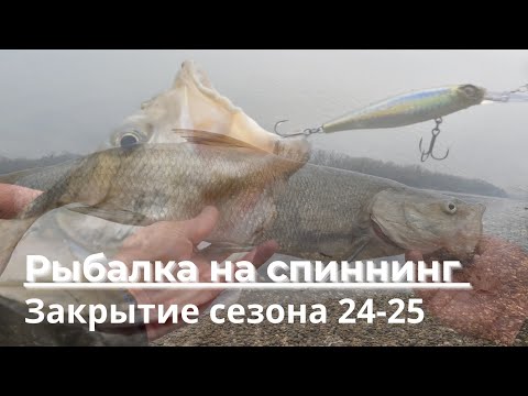 Видео: Зимний спиннинг в новых местах, Трофейный Жерех, закрытие сезона 24! #рыбалка #спиннинг #жерех