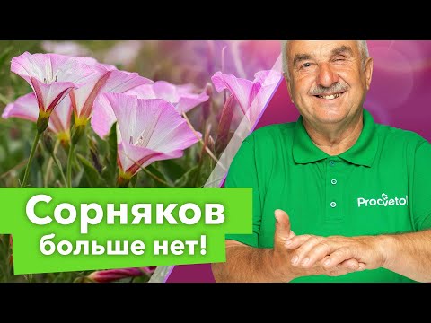 Видео: КАК ИЗБАВИТЬСЯ ОТ СОРНЯКОВ НАВСЕГДА? Агроном рассказал, как легко и просто победил сорняки в огороде