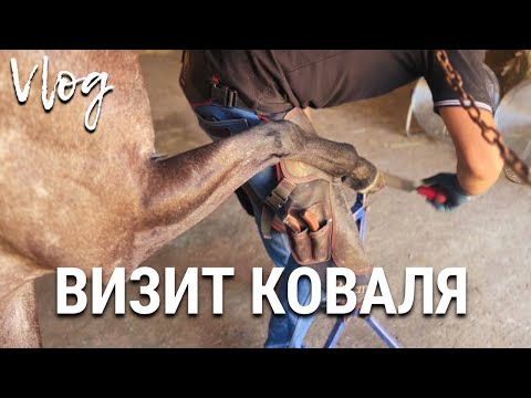 Видео: Визит коваля