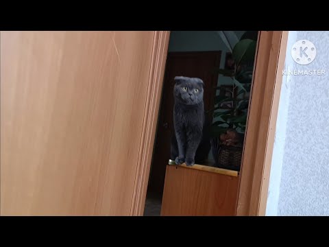 Видео: 2884. И кто БЫ мог ПОДУМАТЬ? 🤔 🤦‍♀️ 🤷‍♀️Работники бывают разные.. 🫤